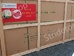 武漢市騰亞科技有限公司給松滋市鎮泰民族學校捐贈環保黑板